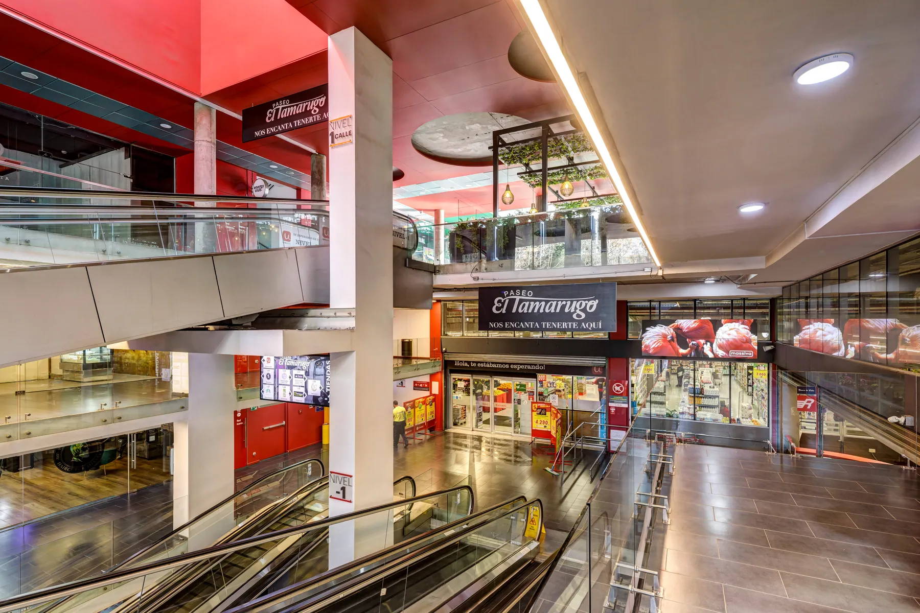 Oficinas para Unimarc — Grupo SMU en Santiago — 11.000 m² — 4/6