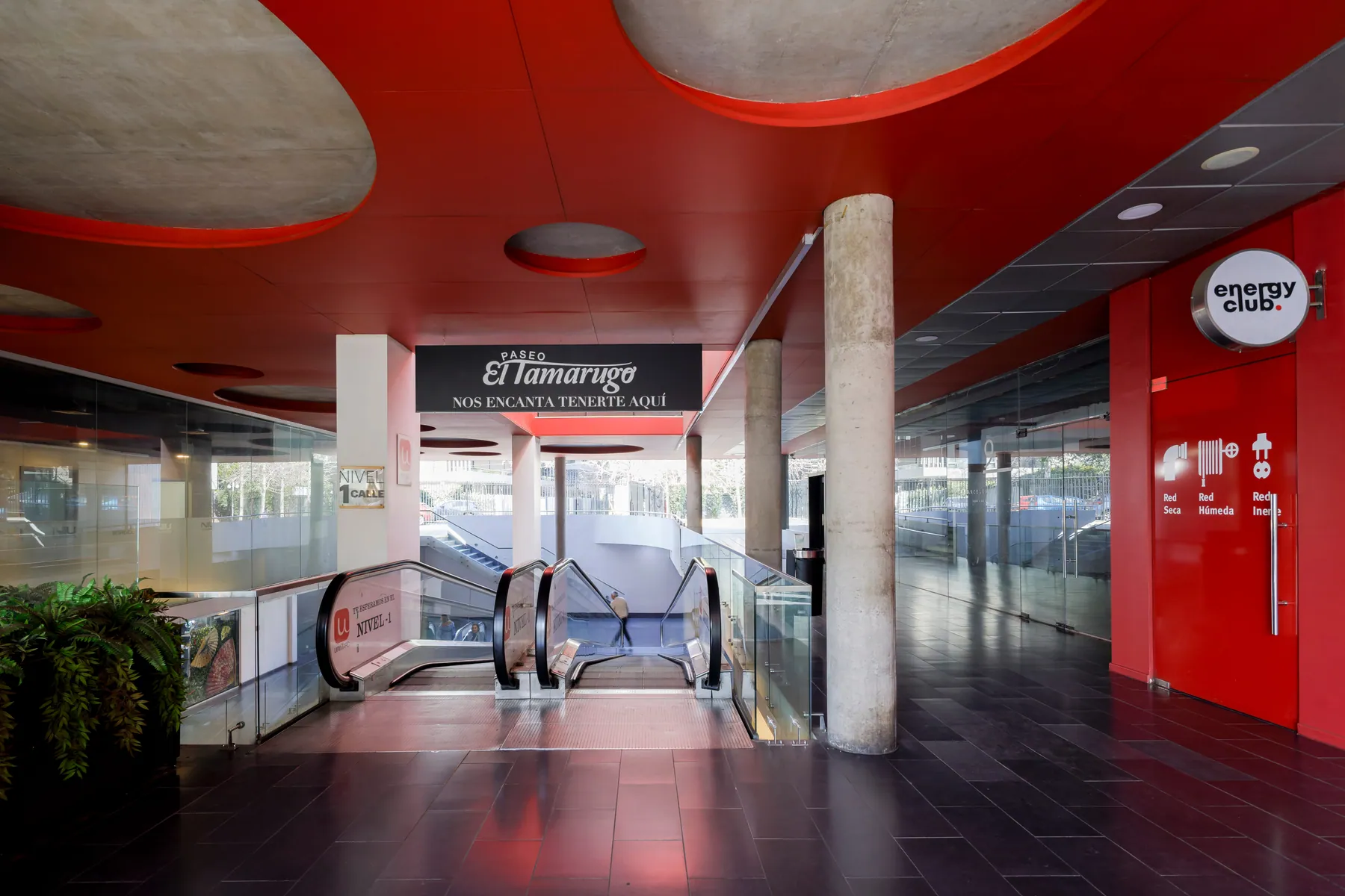 Oficinas para Unimarc — Grupo SMU en Santiago — 11.000 m² — 5/6